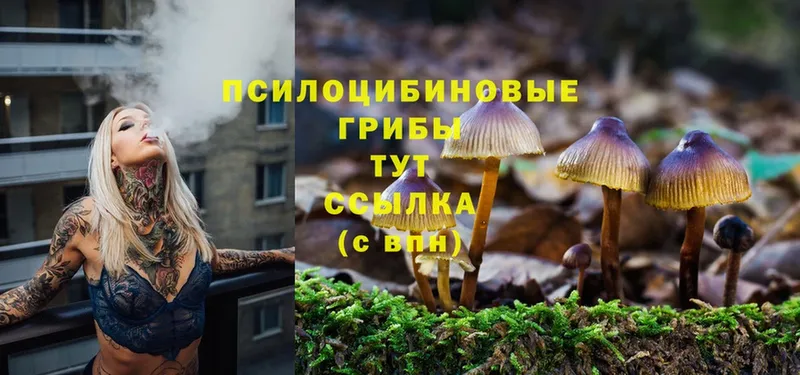 Псилоцибиновые грибы Magic Shrooms Губкин